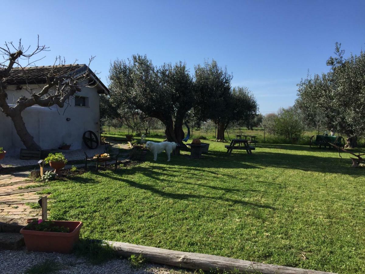 C'Era Una Volta Podere San Giovanni Fossacesia Εξωτερικό φωτογραφία